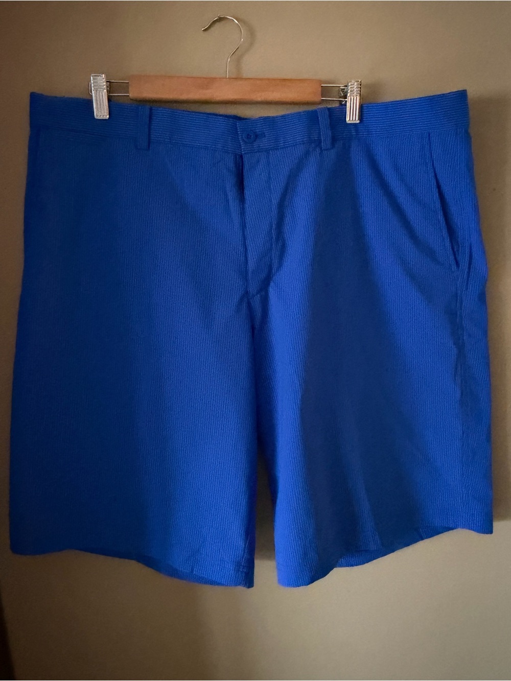 Nike Royal Blue Men's Golf Shorts